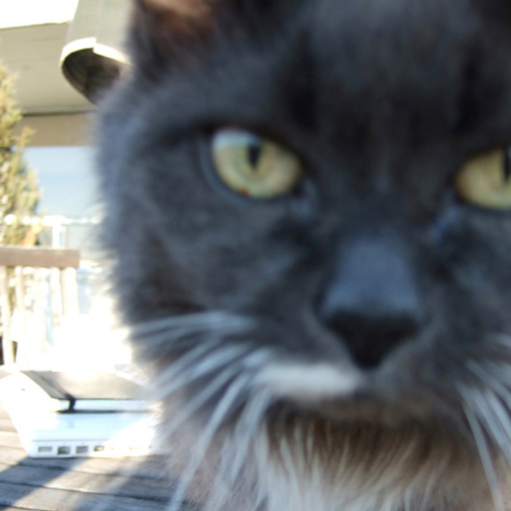 Meet your Posher, Catherine